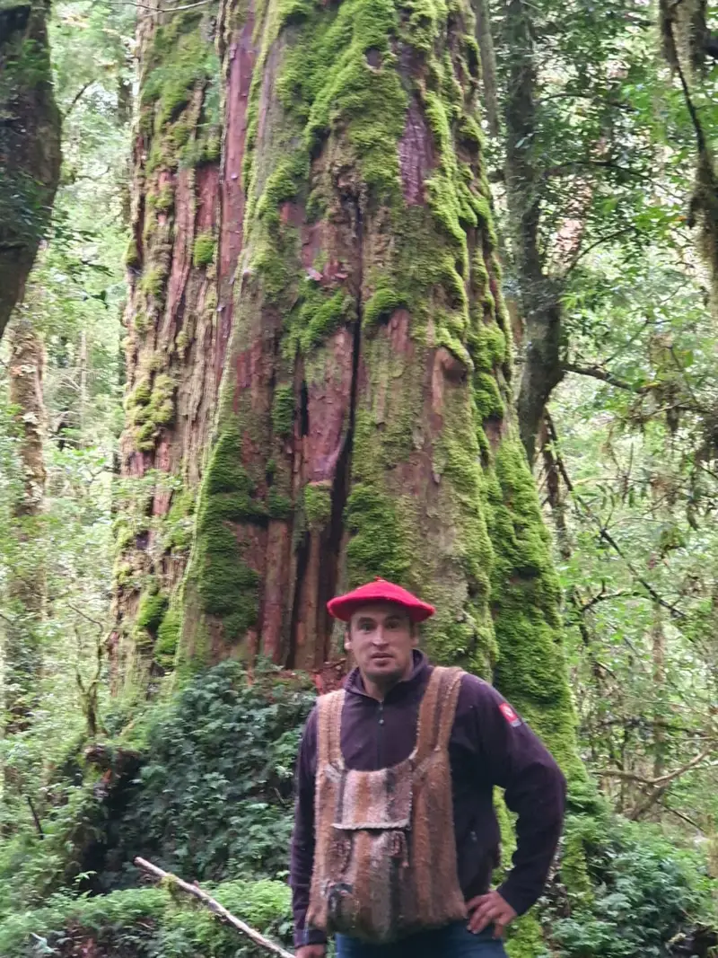 Fredy junto a un alerce milenario